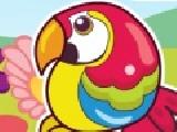 Play Birds matching