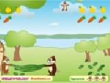 Play Squirrel mania