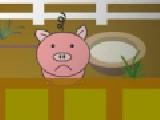 Play Piggy love story