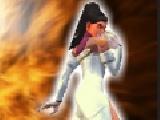 Play The perfect fighter