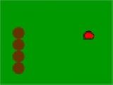 Play Crazy snake