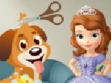 Play Sofia the first dog care