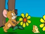 Play Tom and jerry cheese hunt
