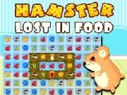 Play Hamster Lost in Food