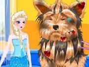 Play Elsa's Dog Doctor