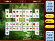 Play Flower Mahjong Deluxe