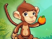 Play Fruit Monkey