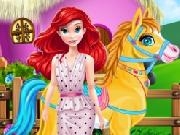 Play Pony Horse Caring