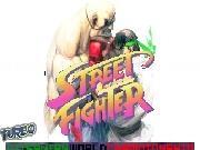 Play Street fighter 2 flash game ryu vs sagat viternian world championship turbo