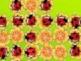 Play Jumping ladybird