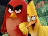 Play Angry birds shooter