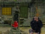 Play Monkey temple escape