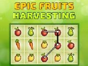 Play Epic Fruit Harvesting