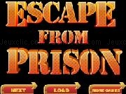 Play Escape From Prison
