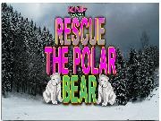 Play Rescue The Polar Bear