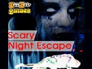 Play Scary Night Escape
