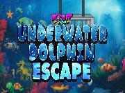 Play Underwater Dolphin Escape