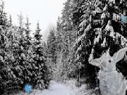 Play Winter Forest Escape 3