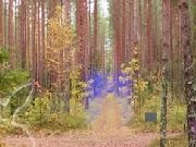 Play Mysterious Autumn Forest Escape 4