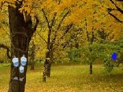 Play Mysterious Autumn Forest 3