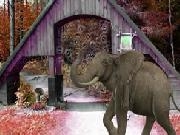 Play Mysterious Autumn Forest