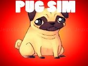 Play Pug Simulator