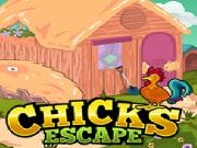 Play Ena Chicks Escape