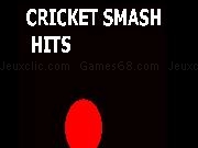 Play Cricket Smash Hits