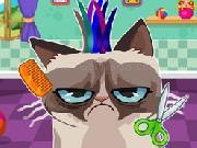 Play Angry Cat Hair Salon