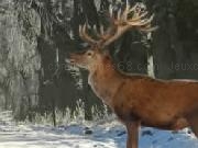Play Winter Forest Escape 2