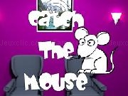 Play Catch The Mouse
