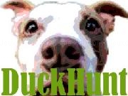 Play DuckHunt