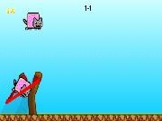 Play Angry Cats
