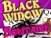Play Black Widow Solitaire