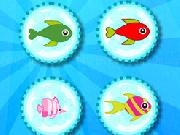 Play Pretty Fish Matching