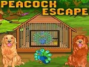 Play Peacock Escape