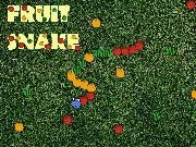 Play Fruit Snake