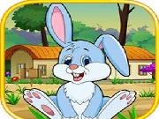 Play Little Rabbit Escape