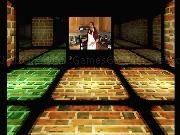 Play Ludum Maze 30