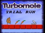 Play Turbomole Trial Run