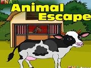 Play Ena Animal Escape