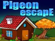 Play Pigeon Escape