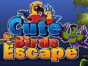 Play Ena Cute Bird Escape