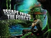 Jugar a Escape From Forest