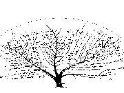 Play Silence Passed Into Legend (Alternative)