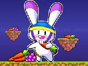 Play Jumping Rabbit