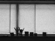 Play 10 Gnomes 04: Foggy Flat