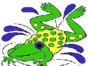 Play Frog in Pool Coloring Game
