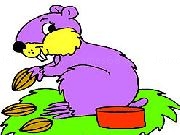 Play Hungry Squirrel Coloring Game