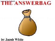 Play The Answer Bag